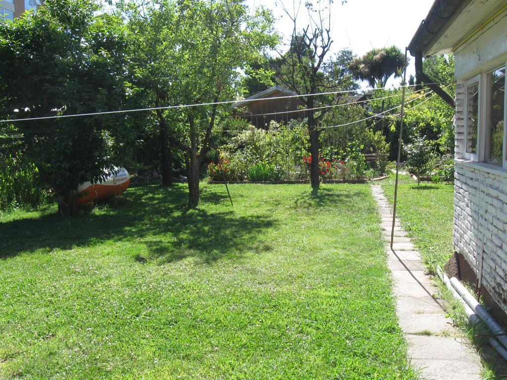 Hostal Entre Araucarias Temuco Ngoại thất bức ảnh