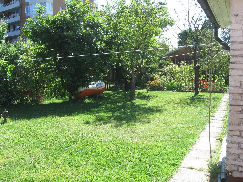Hostal Entre Araucarias Temuco Ngoại thất bức ảnh